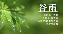 【二十四節(jié)氣灸】谷雨時(shí)節(jié)，用艾為您的健康加上一道保險(xiǎn)！