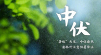 【三伏養(yǎng)生】至熱中伏，吃三樣，喝三樣，三大禁忌千萬別犯，小心落下病根！