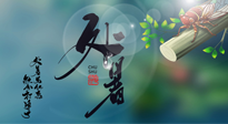 【二十四節(jié)氣灸】處暑艾灸，排夏季余毒，健康迎秋冬！