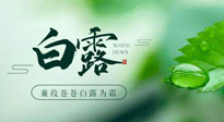 【二十四節(jié)氣灸】白露涼爽，養(yǎng)心肝脾胃、滋陰潤肺是關(guān)鍵！