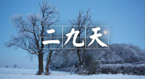【三九養(yǎng)生】冬二九，扶陽補(bǔ)腎氣，讓你陽氣充足一整年！