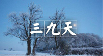 【三九養(yǎng)生】冬三九，三九第三灸，一年中最后艾灸黃金9天！