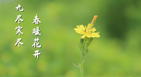 【九九養(yǎng)生】三月四日“九九日”，寒冬已過。春天養(yǎng)好身，全年不怕??！