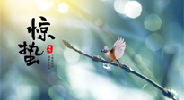 【二十四節(jié)氣灸】驚蟄節(jié)氣，艾灸喚醒抵抗力、補(bǔ)充陽氣的最好時機(jī)！