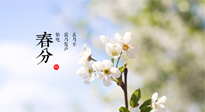【二十四節(jié)氣灸】春分，平分了大地晝夜；艾灸，平衡了身體陰陽！
