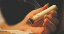 【艾灸知識(shí)】春暖花開，衣衫漸薄，再不減肥，身上的肉肉可藏不住了！