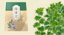 【行業(yè)資訊】國內(nèi)首部艾草專著《南陽艾》，在南陽新書首發(fā)！