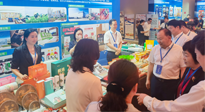 【行業(yè)資訊】南陽攜超千款名優(yōu)產(chǎn)品在廣州開展產(chǎn)銷對(duì)接，仙草艾首次亮相大灣區(qū)！