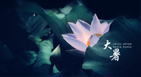 【二十四節(jié)氣灸】趁大暑好好艾灸，才不辜負(fù)三伏天的驕陽(yáng)！