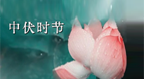 【艾灸三伏天】中伏：三伏灸的關(guān)鍵轉(zhuǎn)折點(diǎn)！“灸”除病根的大好時(shí)機(jī)！