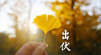 【艾灸三伏天】出伏啦！三防三宜兩穴位，防止身體“秋后算賬”！