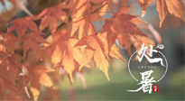 【二十四節(jié)氣灸】處暑，冬病夏治倒計(jì)時(shí)！秋涼真的要來(lái)了！