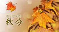 【二十四節(jié)氣灸】秋分節(jié)氣，平衡陰陽，巧用艾灸，潤燥養(yǎng)肺是關(guān)鍵！