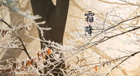 【二十四節(jié)氣灸】霜降節(jié)氣：艾灸四穴，護(hù)您冬天安然無恙！