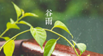 【二十四節(jié)氣灸】谷雨節(jié)氣脾土濕，艾灸降濕濁，脾旺不受邪！
