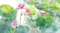 【養(yǎng)生知識(shí)】花開(kāi)半夏，夏至養(yǎng)生，這些知識(shí)一定要牢記！
