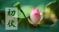 【三伏天】初伏將至，“蒸煮”模式開啟！想要健康，這四類食物別錯(cuò)過?。? />
                    </a>
                </div>
            </li>
            
            <li id=