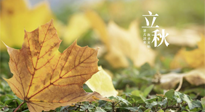 【節(jié)氣養(yǎng)生】甲辰立秋，“2做”、“2不做”，護(hù)好我們身體的正氣，預(yù)防外邪的侵襲！
