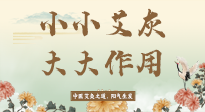 【艾草知識】艾灰真是個巨好用的東西，?它的神奇功效，你知道多少？